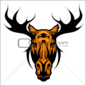 Moose head - isolated on white