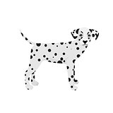 Dalmatian dog vector isolated on a white background