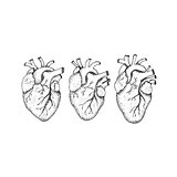Dotwork Three Human Hearts