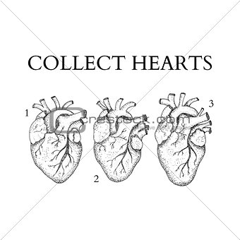 Collect Human Hearts Dotwork