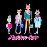 Graphic set fashion funny cats