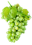 Fresh green grapes with leaf harvest fruit