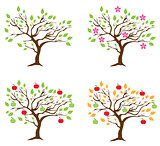 vector season apple tree