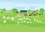 Farm animals on the meadow