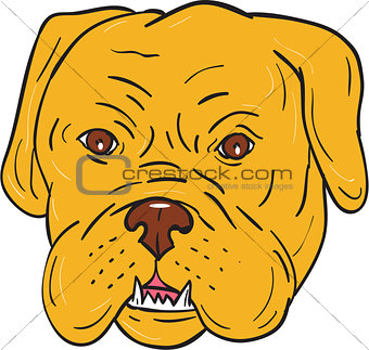 Bordeaux Dog Head Cartoon
