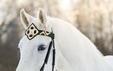 white trotter horse in medieval front bridle-strap outdoor horizontal close up portrait in winter in sunset