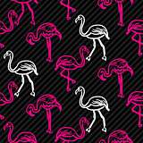 Black and pink striped flamingo bird pattern.