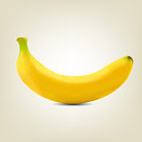Photorealistic yellow banana, vector illustration.