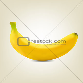 Photorealistic yellow banana, vector illustration.