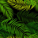 Beautifil Palm Tree Leaf Silhouette Seamless Pattern Background 