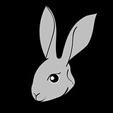 Grey easter rabbit black background Animal
