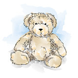 Drawing Teddy Bear. Color vector illustration