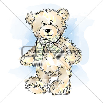 Drawing Teddy Bear with scarf. Color vector illustration