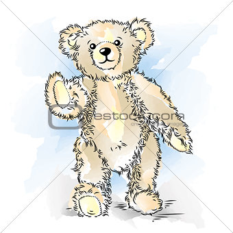 Drawing Teddy Bear. Color vector illustration