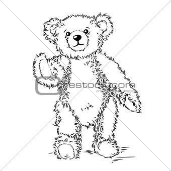Drawing Teddy Bear. Vector illustration