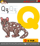 letter q with cartoon quoll