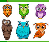 owl bird characters cartoon set
