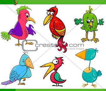 fantasy birds cartoon set