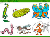 cartoon insect characters set