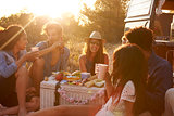 Friends talking at a picnic beside their camper van