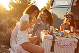 Three female friends talking at a picnic by their camper van
