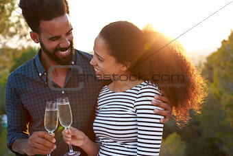 Romantic couple making a toast outdoors