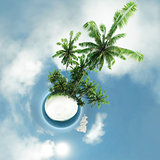 small planet, ocean, tropical island, palm trees 3d rendering