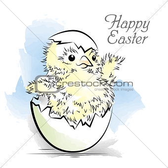Easter card with newborn chicken. Color vector illustration