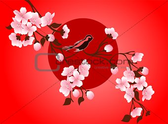 cherry blossom art picture. Vector sakura flower
