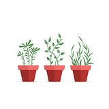 Vector potted plants