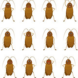 funny brown cockroach standing and smiling on a white background.