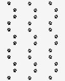 Prints of dog paws