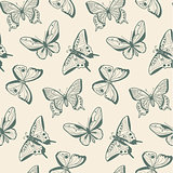 Various sketch butterflies.