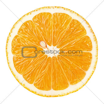 slice of orange citrus fruit isolated on white