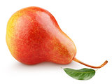 Single sweet red pear fruit