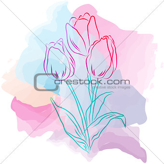 Tulips on watercolor spots