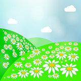 Summer Landscape with Green Grass, Sun and Clear Sky. Vector Meadow