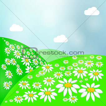 Summer Landscape with Green Grass, Sun and Clear Sky. Vector Meadow