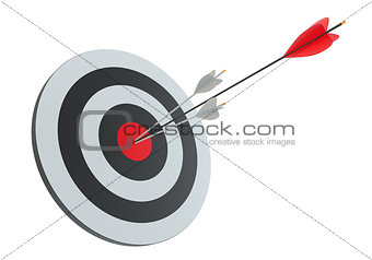 Arrows in archery target