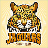 Jaguars - Sport Team Design
