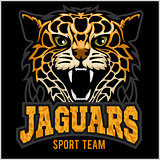 Sport team - Jaguar, wild cat Panther. Vector illustration, black background, shadow.