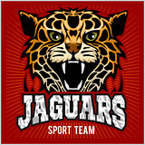 Sport team - Jaguar, wild cat Panther. Vector illustration, red background, shadow.