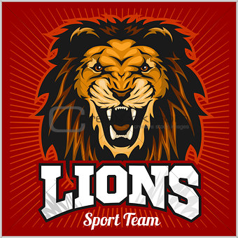Lions - sport team logo template. Lion head on the shield. T-shirt graphic, badge, emblem, sticker.
