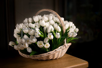 White tulips, bouquet in basket.