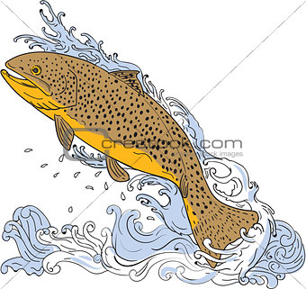 Brown Trout Swimming Up Turbulent Water Drawing