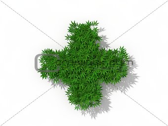 medical symbol with marijuana weeds. 3d illustration.