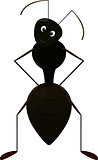 Cute Ant cartoon Character