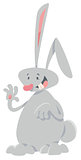 rabbit cartoon character