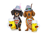 bavarian beer dachshund sausage dogs ,  couple of two 