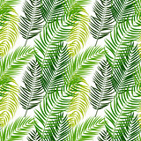 Beautifil Palm Tree Leaf Silhouette Seamless Pattern Background 